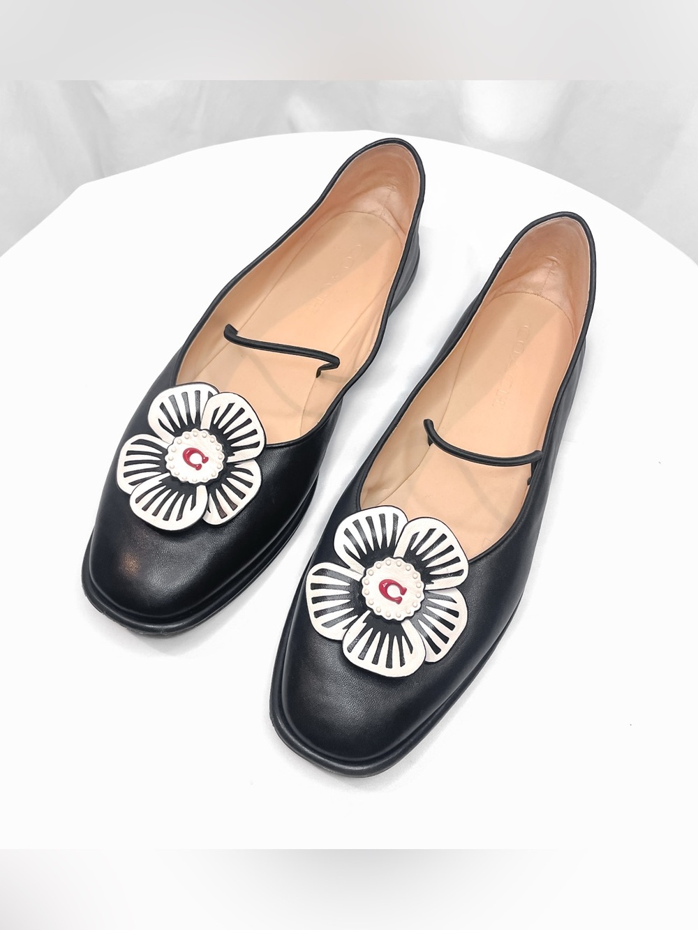 Coach Elaina Tea Rose Ballet Flats